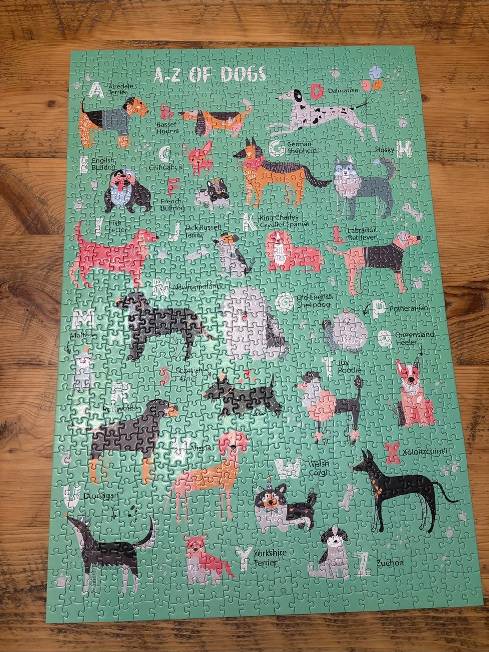 A-Z of Dogs Kids Puzzle - Green Illustrated Dog Alphabet